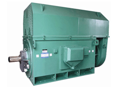 Y4006-8/220KWYKK系列高压电机
