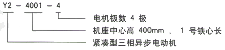 YR系列(H355-1000)高压Y4006-8/220KW三相异步电机西安西玛电机型号说明